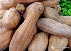 文安吃瓜地,揭秘民间趣事，品味生活百态  第1张